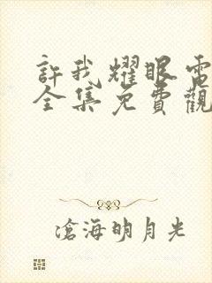 许我耀眼电视剧全集免费观看完整版