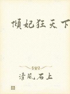 倾妃狂天下封面