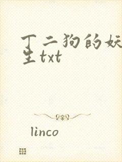 丁二狗的妖孽人生txt封面