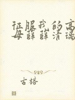 征服我的高官美母薛薛清璃大结局