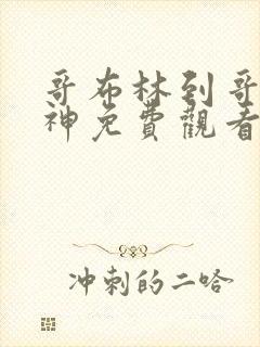 哥布林到哥布林神免费观看