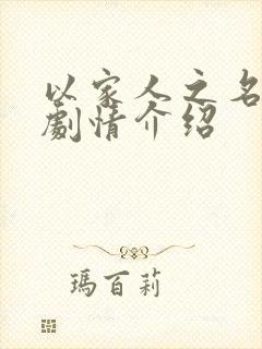 以家人之名电视剧情介绍