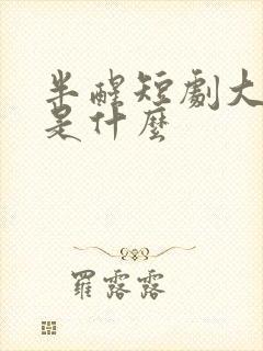 半醒短剧大结局是什么