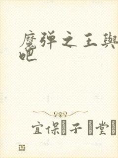 魔弹之王与战姬吧