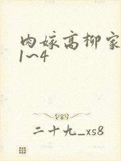 肉嫁高柳家动漫1~4