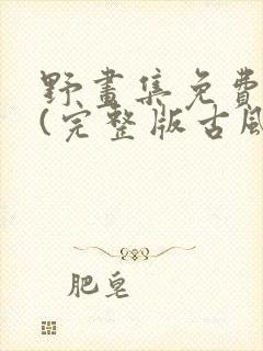 野画集免费观看(完整版古风漫画)下拉式