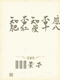 知否知否应是绿肥红瘦十八集