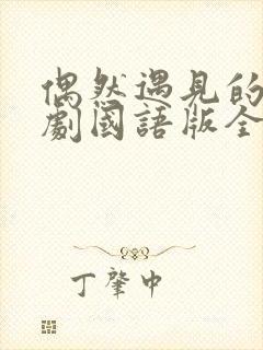 偶然遇见的你韩剧国语版全集免费