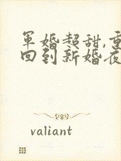 军婚超甜,重生回到新婚夜