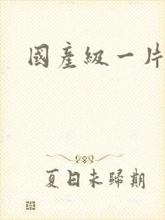 国产级一片内射