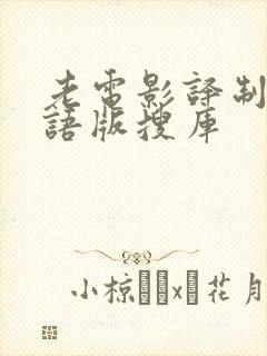 老电影译制片国语版搜库