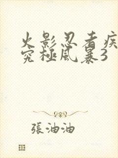 火影忍者疾风传究极风暴3