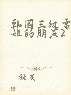 韩国三级电影姐姐的朋友2