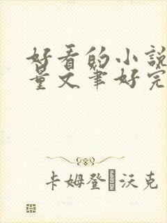 好看的小说高质量文笔好完结