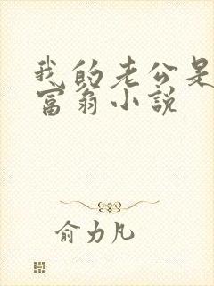 我的老公是亿万富翁小说