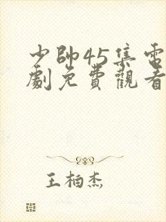 少帅45集电视剧免费观看