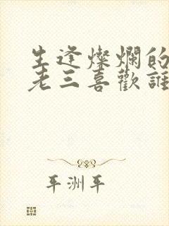 生逢灿烂的日子老三喜欢谁封面