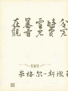 在暴雪时分在线观看免费完整版封面