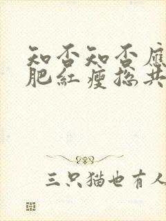 知否知否应是绿肥红瘦总共多少集