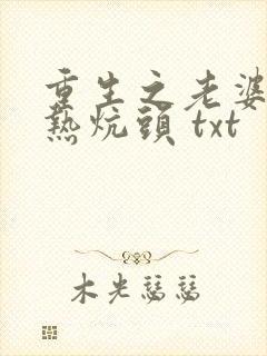 重生之老婆孩子热炕头 txt