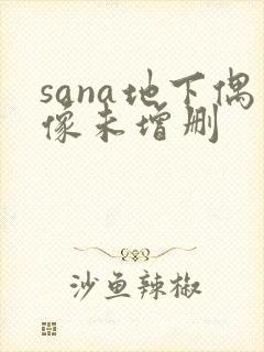 sana地下偶像未增删