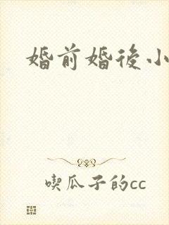 婚前婚后小说封面