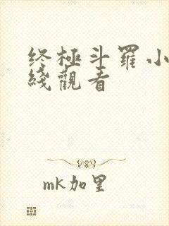 终极斗罗小说在线观看