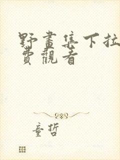 野画集下拉式免费观看