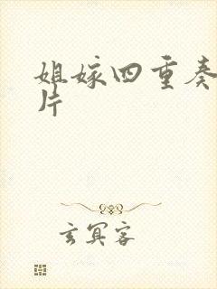 姐嫁四重奏动画片