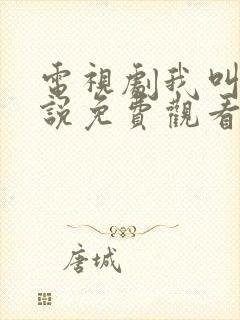 电视剧我叫刘传说免费观看封面