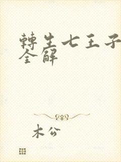 转生七王子魔法全解