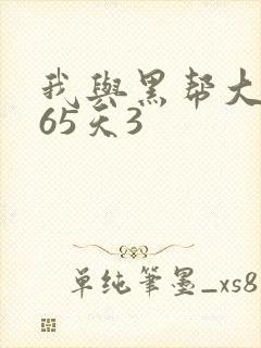 我与黑帮大佬365天3封面
