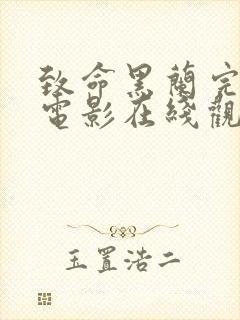 致命黑兰完整版电影在线观看封面