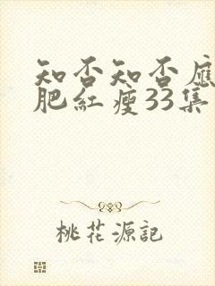 知否知否应是绿肥红瘦33集封面