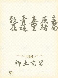 致青春原来你还在这里结局封面