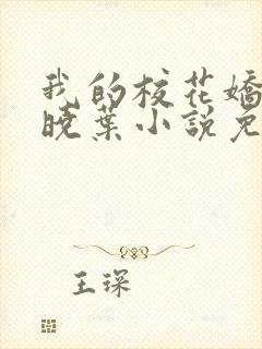 我的校花娇妻秦晓叶小说免费阅读