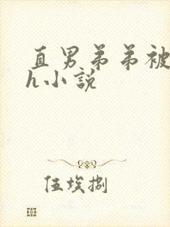 直男弟弟被哥哥h小说