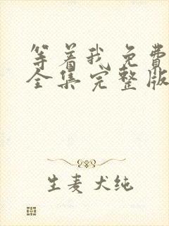 等着我免费观看全集完整版在线播放