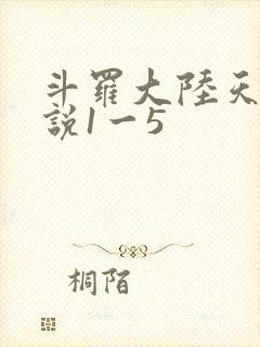 斗罗大陆天狂传说1一5封面