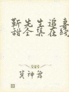 靳先生追妻有点甜全集在线观看