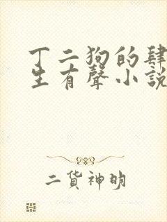 丁二狗的肆意人生有声小说免费