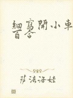 细写开小车车的百合