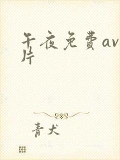 午夜免费av毛片