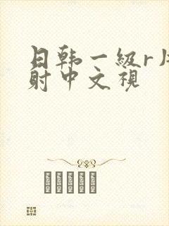日韩一级r片内射中文视