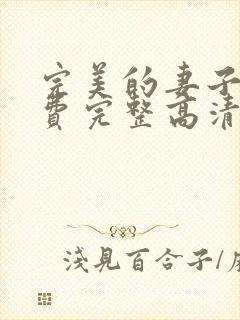 完美的妻子6免费完整高清电视剧在线封面