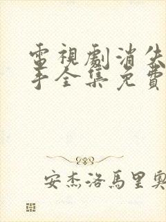 电视剧消失的凶手全集免费观看下载高清