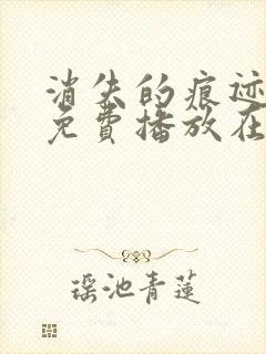 消失的痕迹全集免费播放在线观看