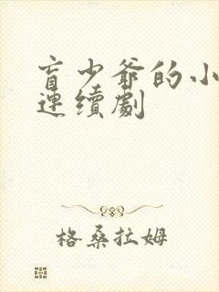 盲少爷的小女仆连续剧封面