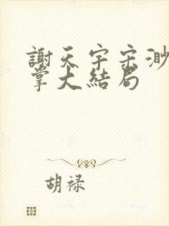 谢天宇宋渺三巴掌大结局