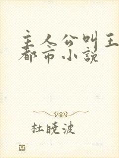 主人公叫王浩的都市小说封面